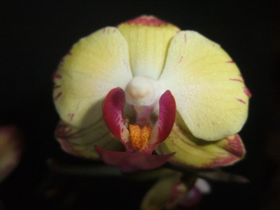 DSCF8543.JPG