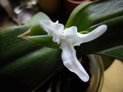 DSCF6685.JPG
