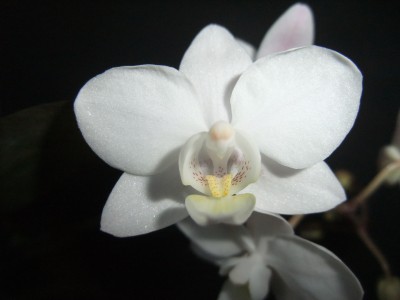 DSCF8547.JPG