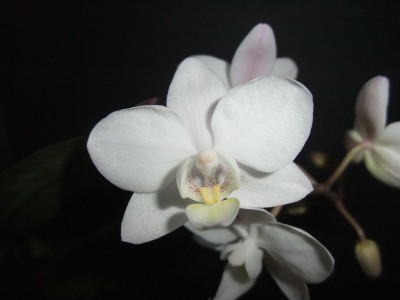 DSCF8548.JPG