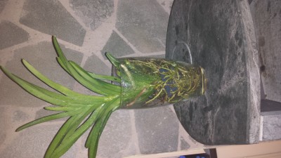 20140114_062216.jpg