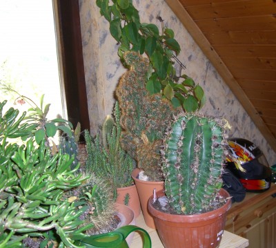 Kinderzimmer (3).JPG