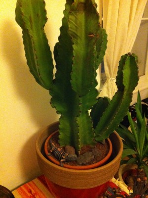 2014-01-15 22.08.39.jpg