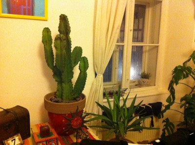 2014-01-15 22.08.56.jpg