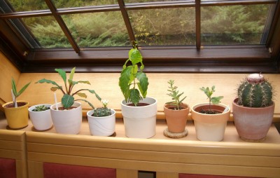 Küche Dachfenster.JPG