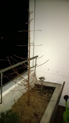 WP_20140117_002.jpg