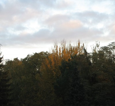 Herbstaufnahme 2.jpg