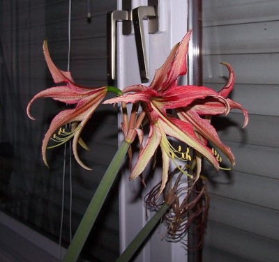 2014-01-22 003b.jpg