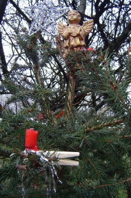 Christbaum af den Modellflugplatz.JPG