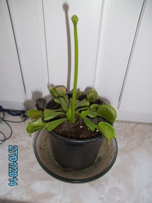 PICT0089.JPG