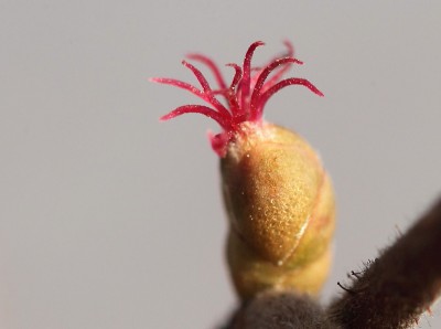 IMG_0338 - Kopie.JPG