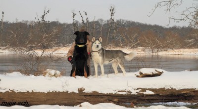 IMG_9042.jpg