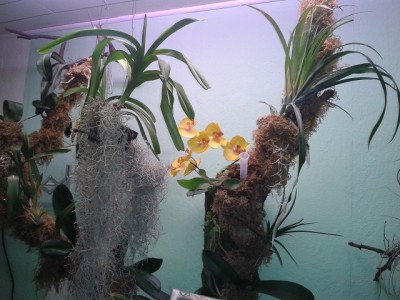 2013-11-03 19.53.29.jpg