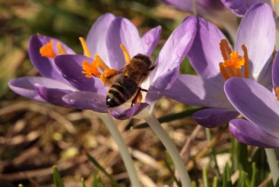 IMG_0875 - Kopie.JPG