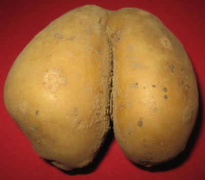 2014 2 094.jpg
