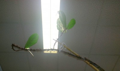 20140129_160737.jpg