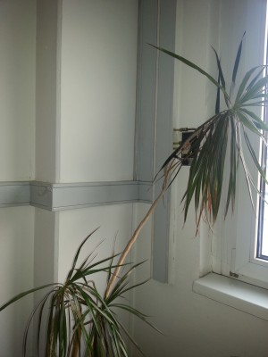 20140129_160758.jpg