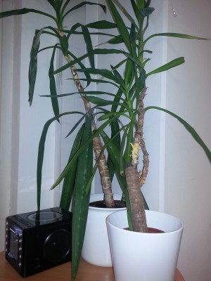 20140129_160846.jpg