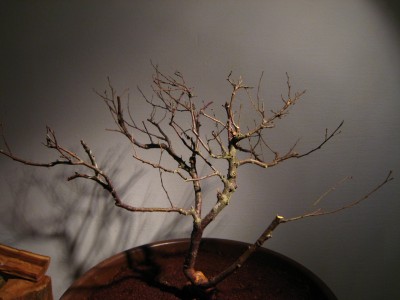IMG_6760.jpg