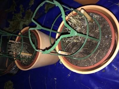Foto 27.02.14 21 31 18.jpg