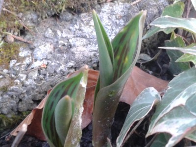 2014-02-22 16.48.47.jpg