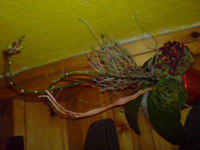 DSC00646.JPG