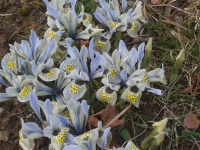 2014-03-03 10.38.41.jpg