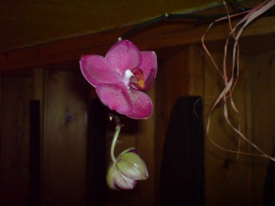 DSC00643.JPG