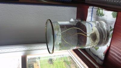 SCHORSCH - WIN_20140304_093829.JPG