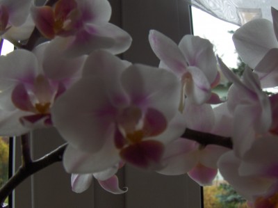 Bild 043.jpg