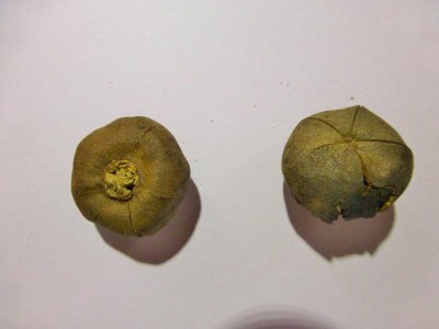 P1010318_klein.jpg