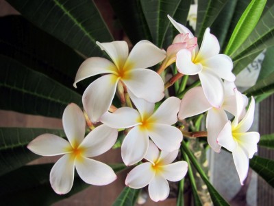 IMG_3760 kl.jpg