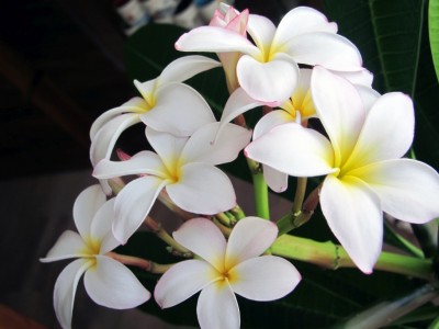IMG_3761kl.jpg