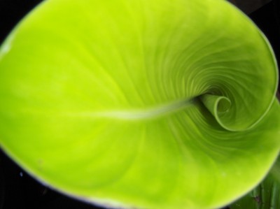 Bild 045.jpg