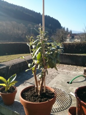 2014-03-10 10.02.15.jpg