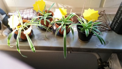 20140310_160454.jpg