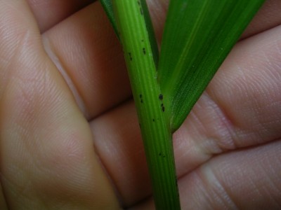 DSCN6171.JPG
