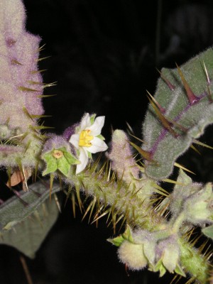 22.September07 020.jpg