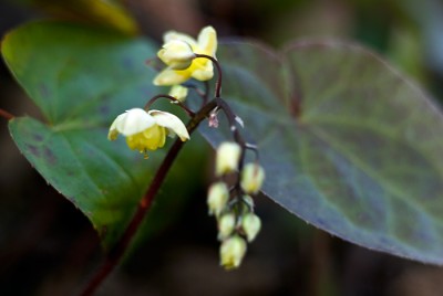 _DSC4728-(1).jpg
