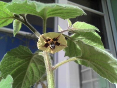 25.11.13 update (7).jpg