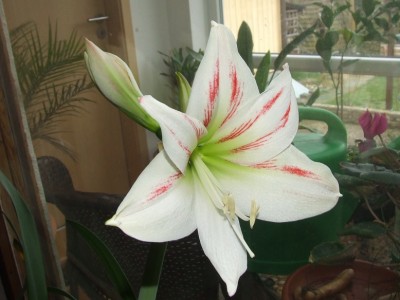 DSCF3998.JPG