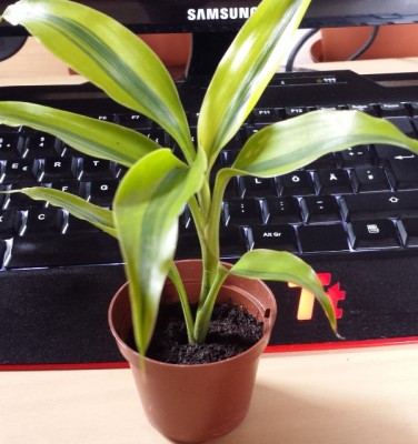 20140318_102411.jpg
