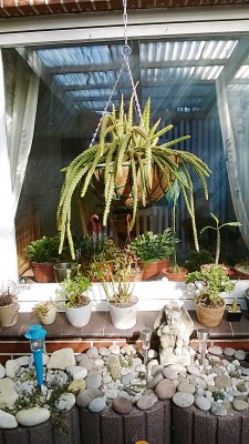 WP_20140320_007.jpg