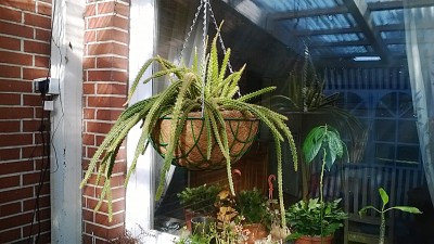 WP_20140320_005.jpg