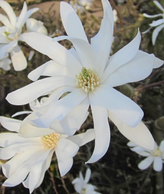 Frühling 2014 425.jpg