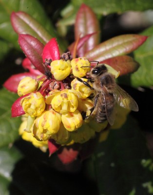 IMG_8316 - Kopie.JPG