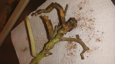 20140326_185206.jpg