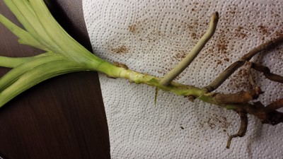 20140326_185222.jpg