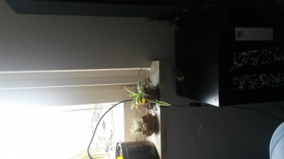 20140328_133923.jpg