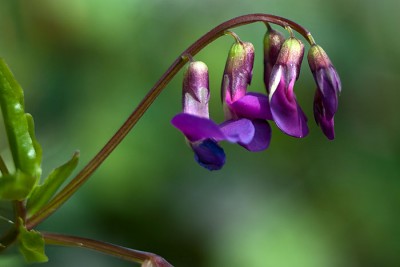 _DSC4853-(1).jpg
